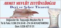 Ahmet Mevlüt Zeytünlüoğlu - Kastamonu
